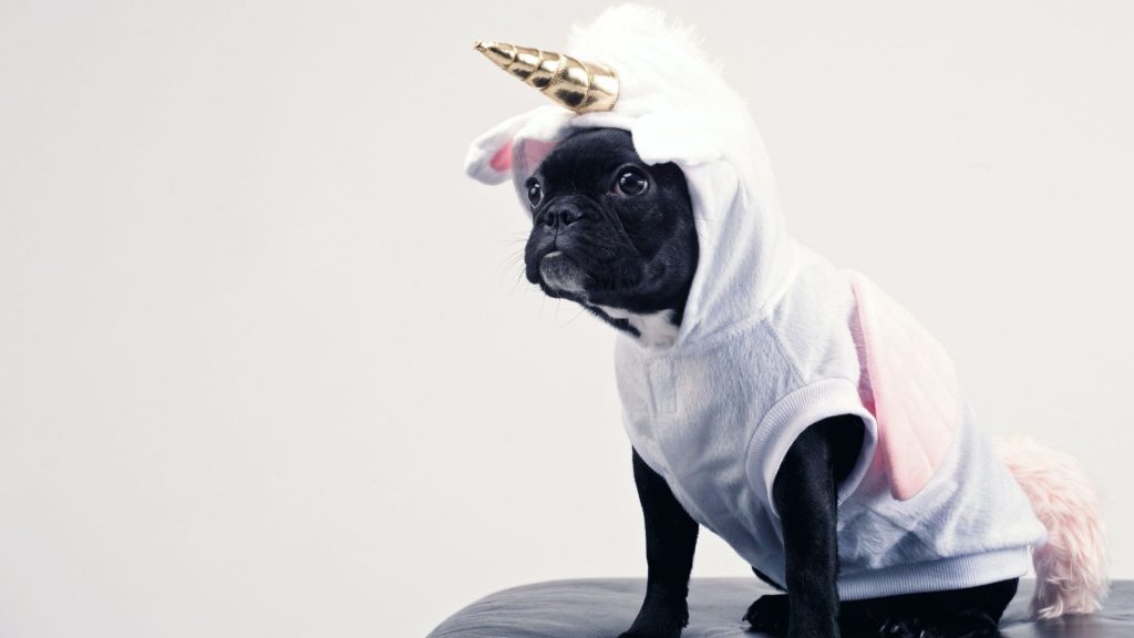 Mirakl, annonce un tour de table de 555 millions de dollars qui vient valoriser la 10ème licorne française à plus de 3,5 milliards de dollars. Chien avec un déguisement de licorne