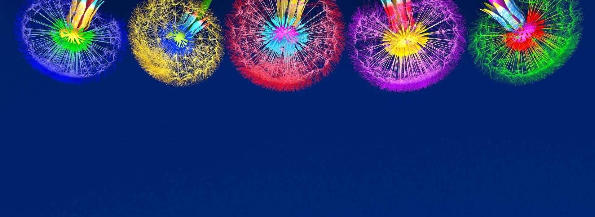 Tribune adobe experience client Pissenlits