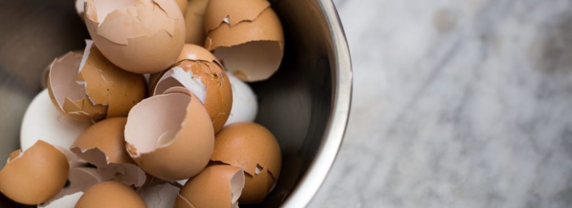 Circul’Egg clôture sa levée de fonds et industrialise son process Coquilles d'oeufs