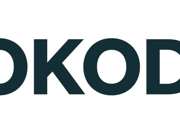 Logo Hokodo
