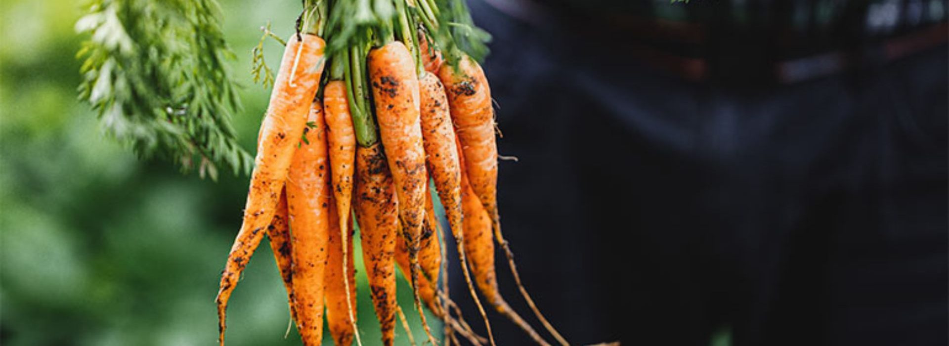 Popchef annonce une levée de fonds de 15 millions d’euros pour révolutionner le secteur de la restauration d’entreprise Carottes