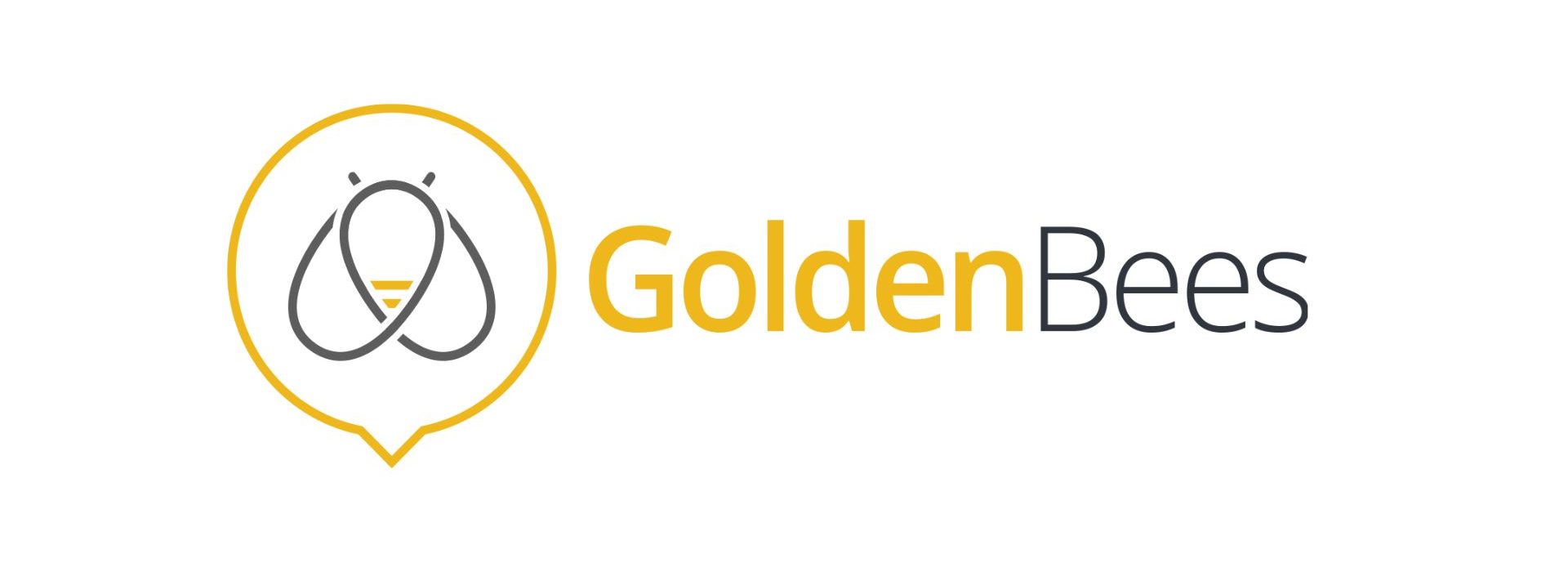 Golden Bees, accélérateur des stratégies digitales et publicitaires RH depuis 2015, annonce la nomination de Daniel Morais au poste de CEO Logo Golden Bees