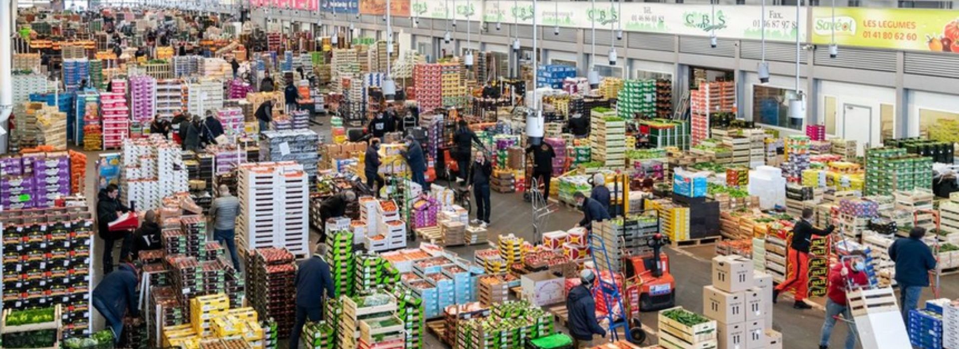 En 2022, le marché de gros a pris la virage numérique pour digitaliser et optimiser toutes les étapes de l'approvisionnement de produits frais. Explications Marché de Rungis