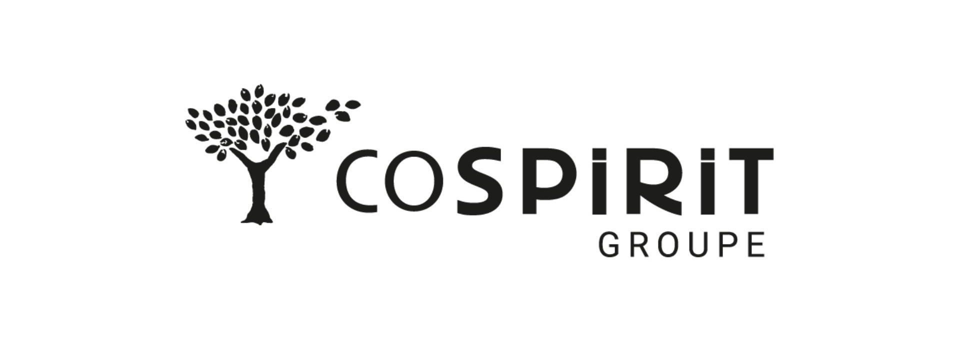 Nicolas-Barissat rejoint CoSpirit-Groupe, en tant que Directeur Administratif et Financier Logo Cospirit