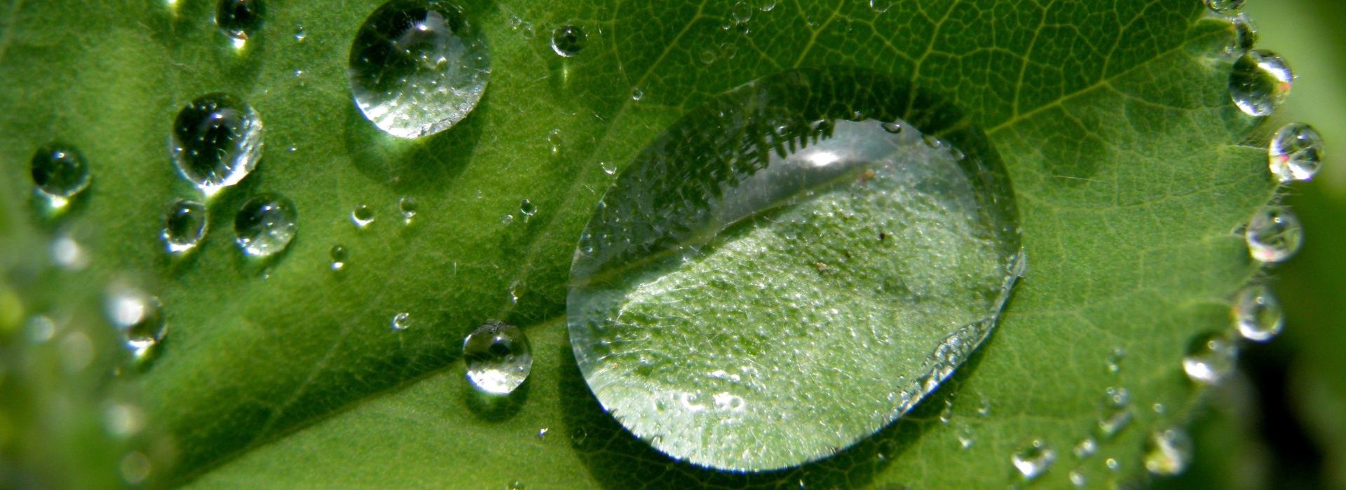 17 millions d’euros levés en faveur de l’économie responsable Feuille avec une goutte d'eau