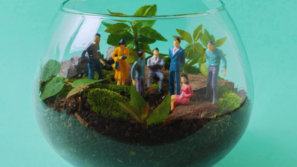 Marc Sabatier, président du cabinet de conseil en stratégie, transformation et innovation Julhiet Sterwen nous dévoile sa vision RSE. Vase avec un mini jardin dedans et des personnes