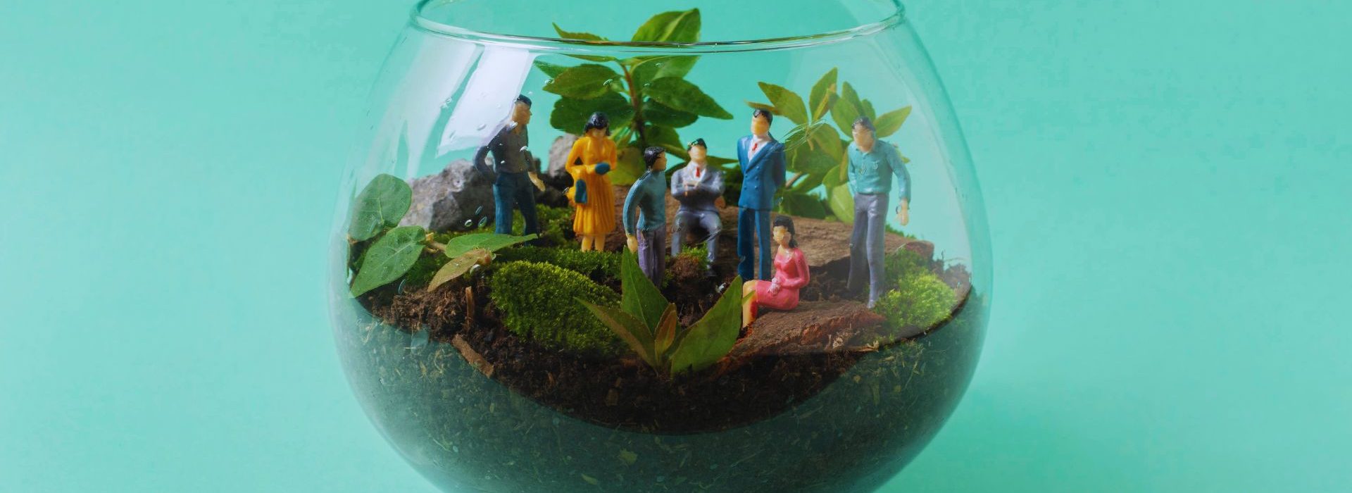 Marc Sabatier, président du cabinet de conseil en stratégie, transformation et innovation Julhiet Sterwen nous dévoile sa vision RSE. Vase avec un mini jardin dedans et des personnes