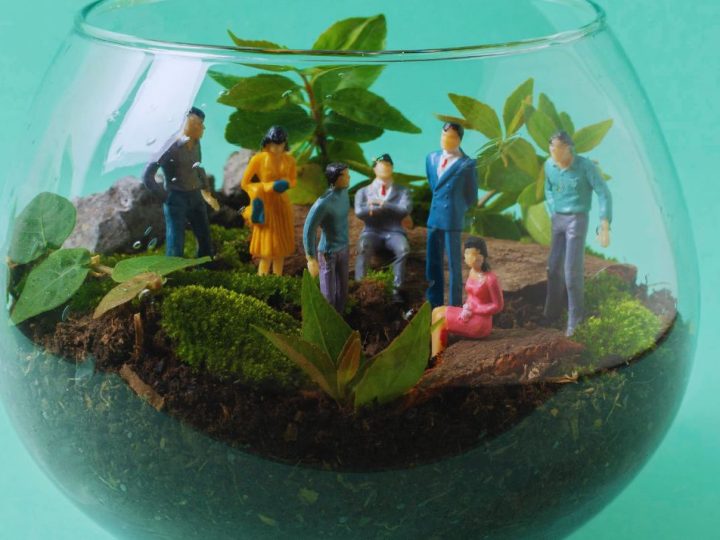 Vase avec un mini jardin dedans et des personnes