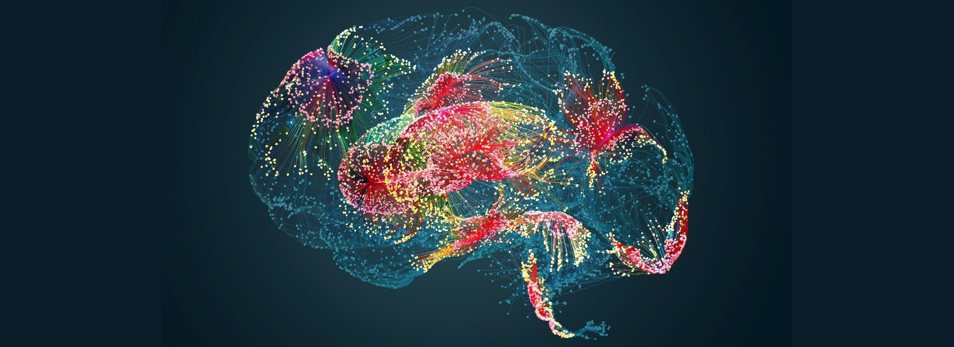 medtech-yeux-miroirs-fonctionnement-cerveau cerveau