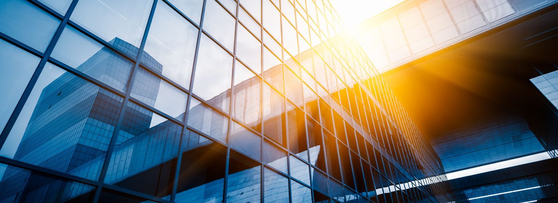 Loi de partage de la valeur au sein de l'entreprise : faut-il vraiment s'en réjouir ? Building