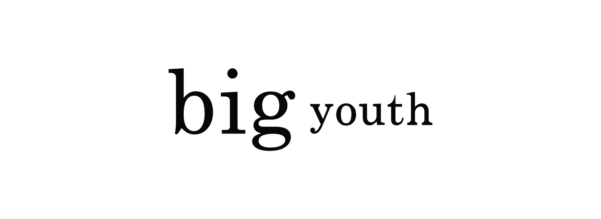 deux-nouveaux-budgets-pour-big-youth logo big youth