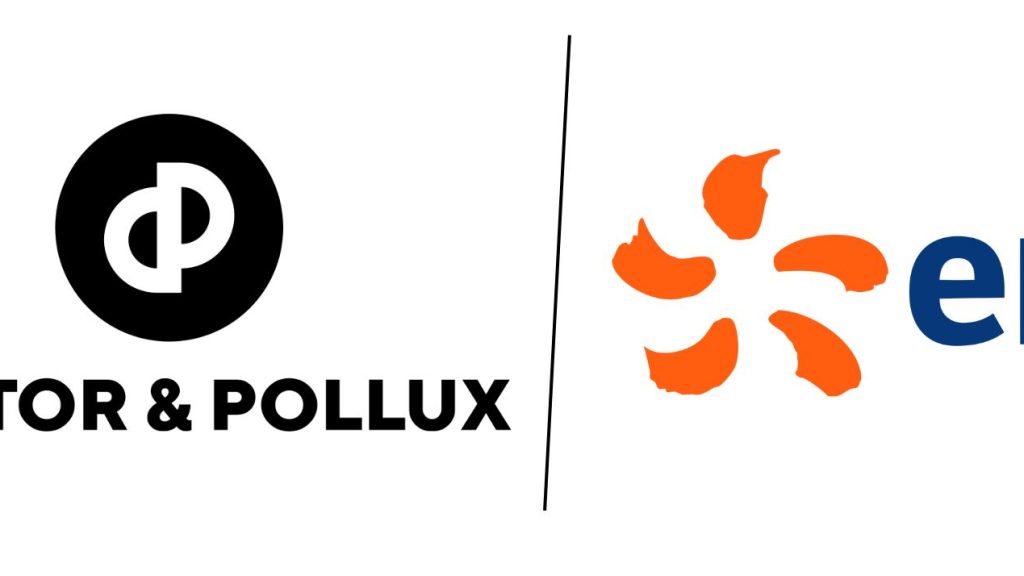 logo edf castor et pollux