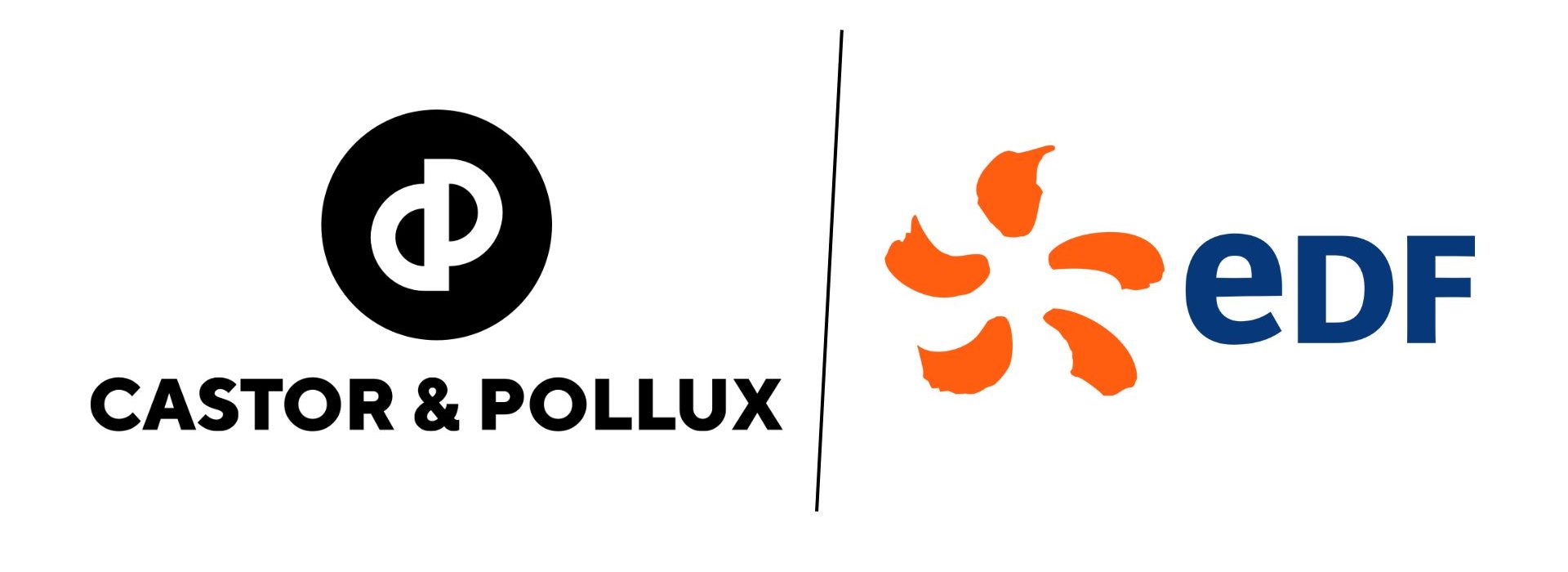 edf-selectionne-castor-pollux logo edf castor et pollux