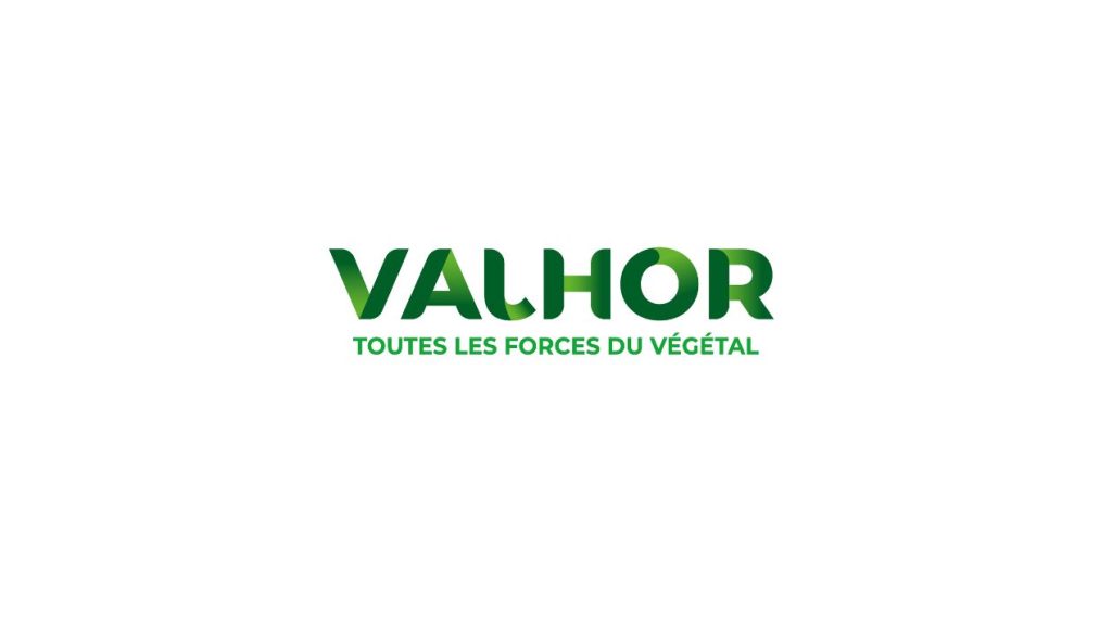 logo valhor