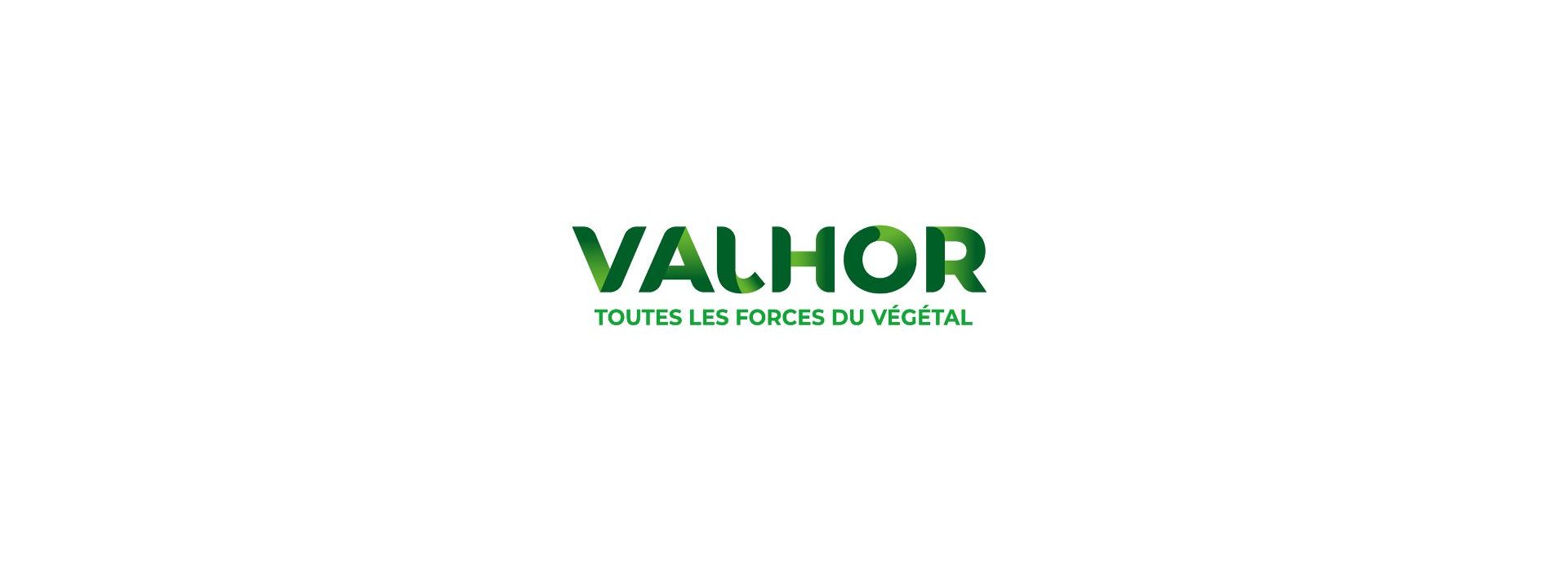 logo valhor logo valhor