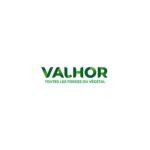 logo valhor