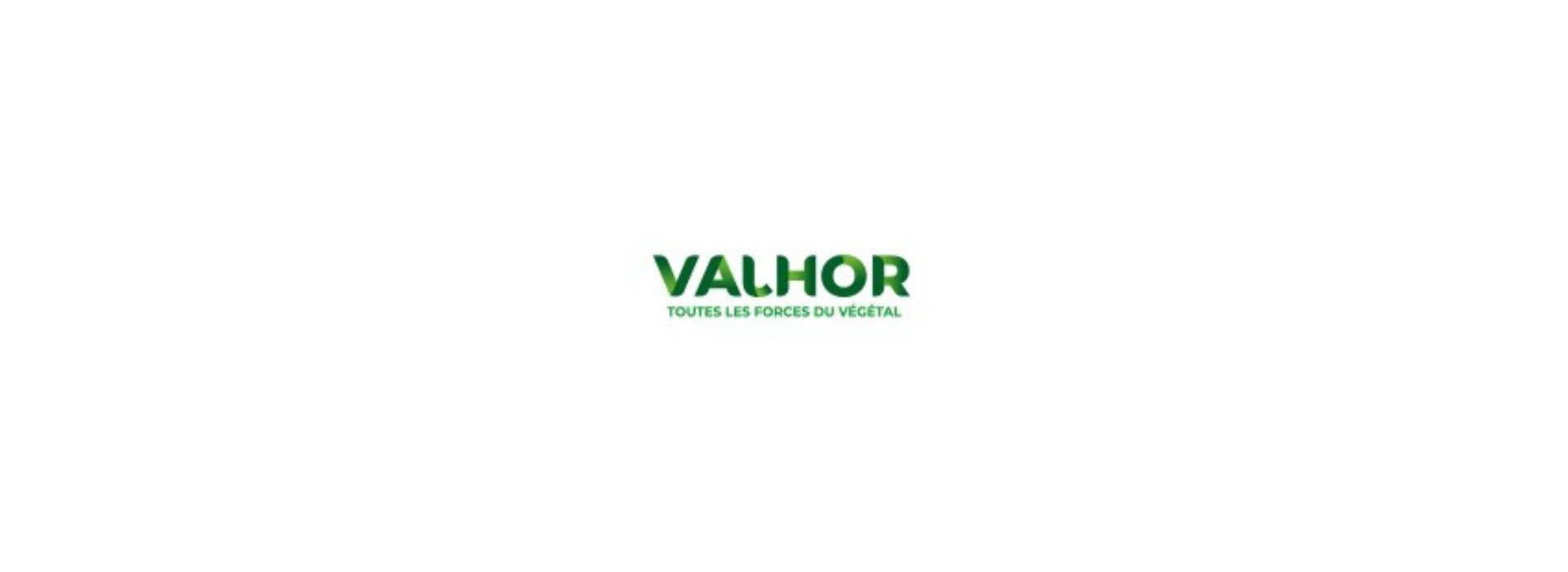 logo-valhor logo valhor