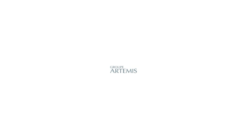 logo artemis