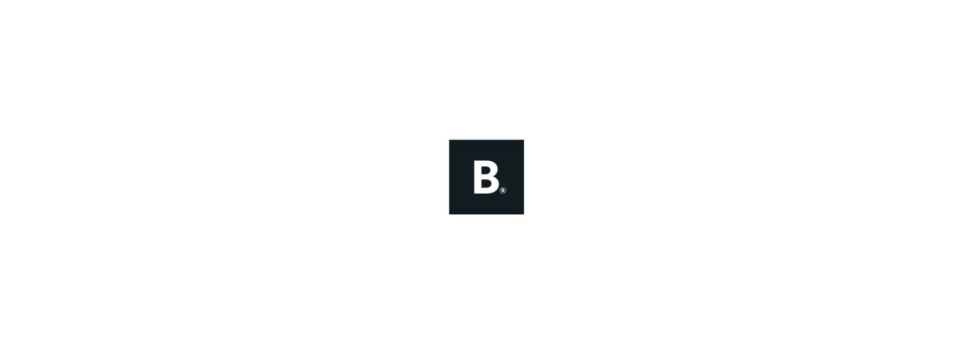 logo bronson logo bronson