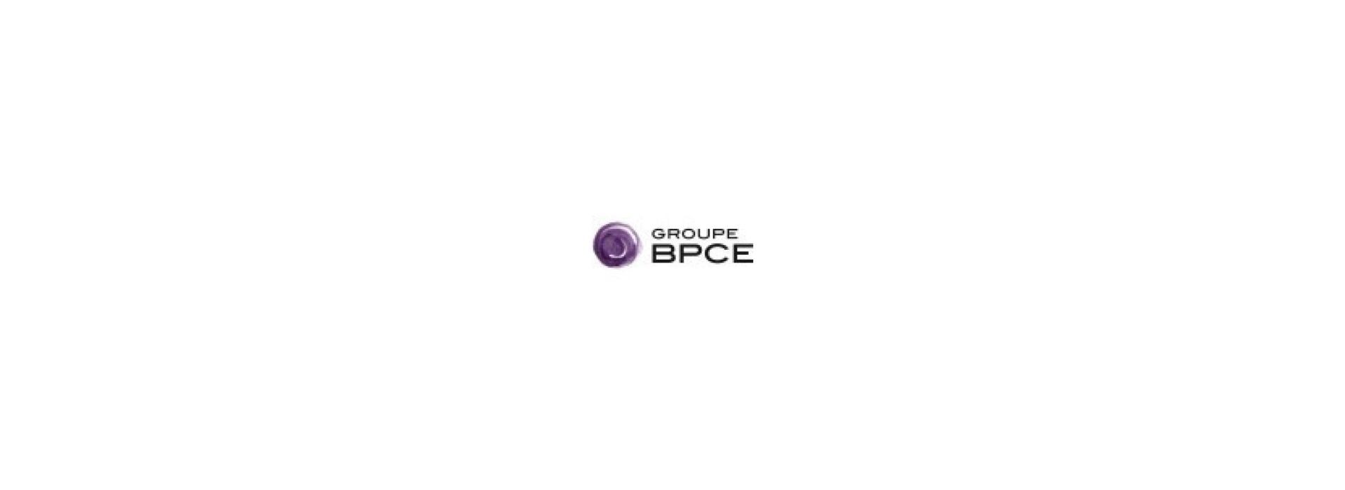 logo bpce Logo BPCE