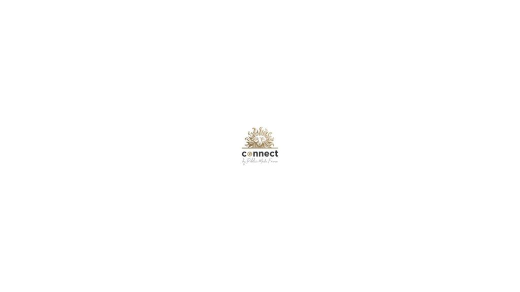 Logo Publicis Media Connect