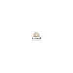 Logo Publicis Media Connect